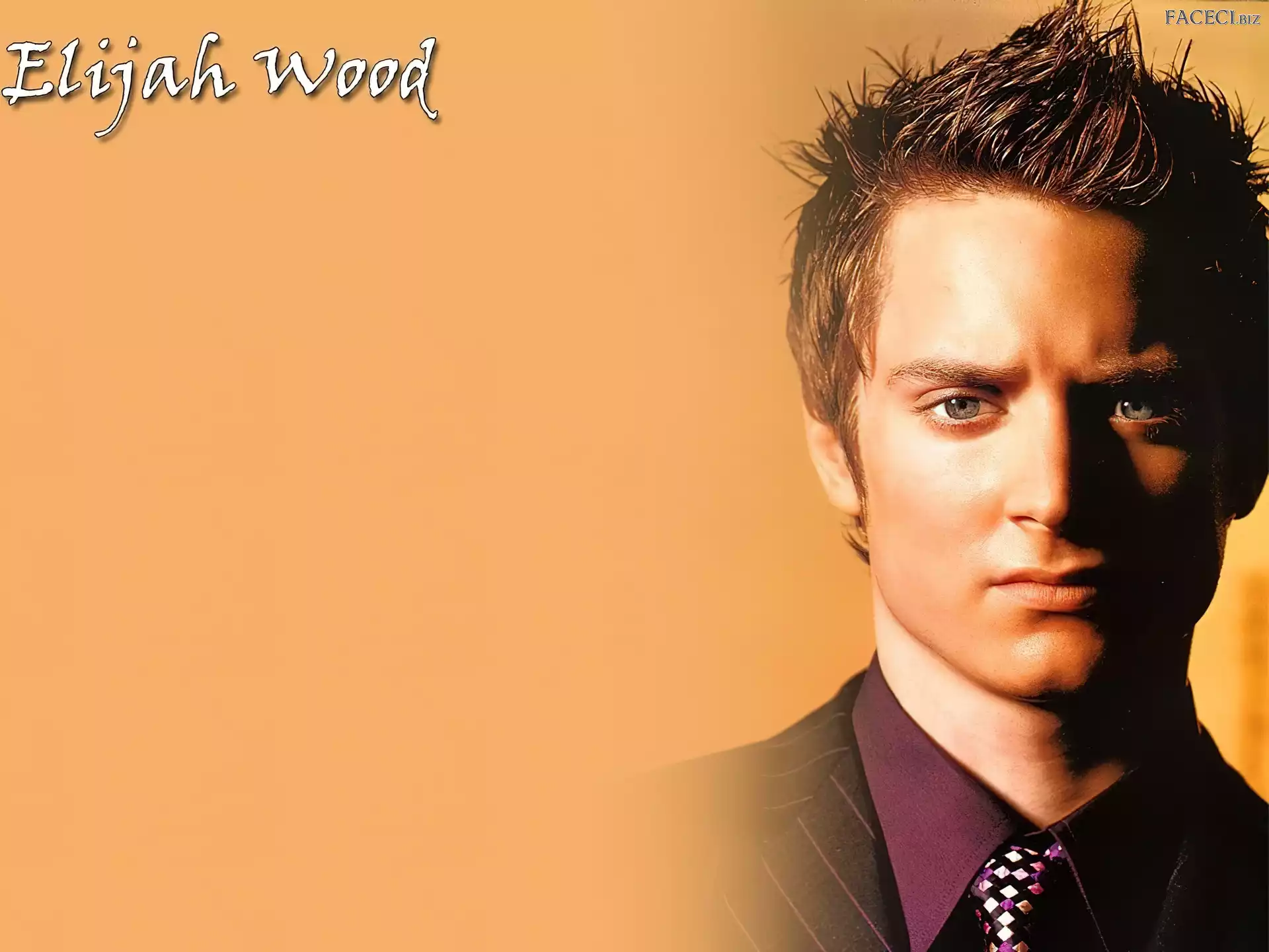 krawat, Elijah Wood, fioletowa koszula